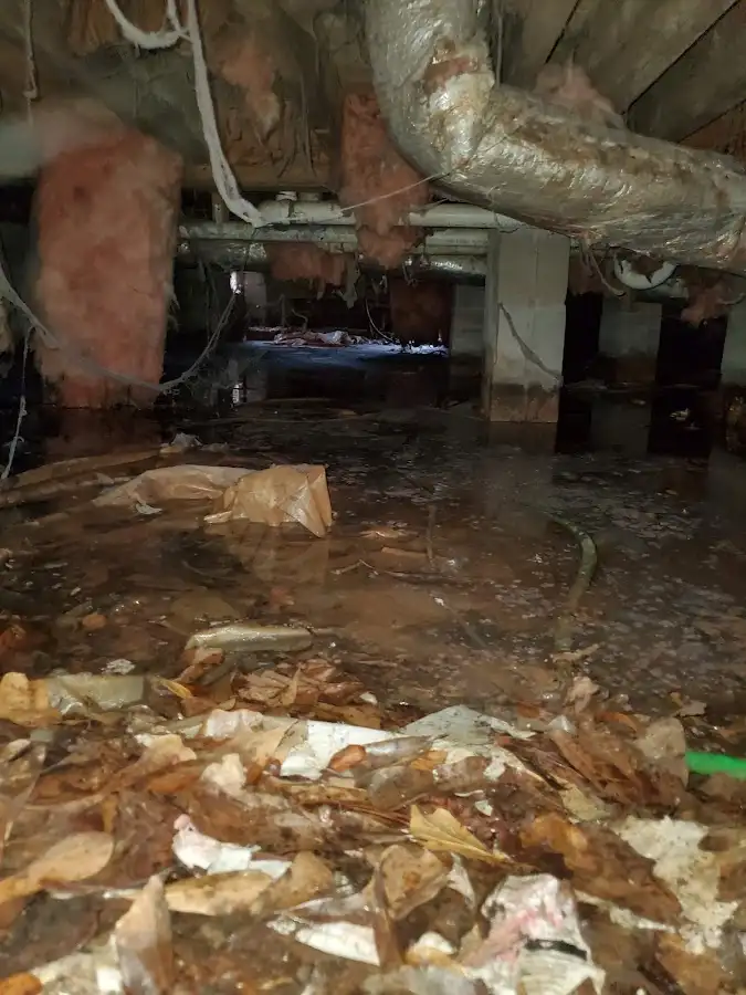 Crawl space flood assessment for Commercial Water Damage Restoration in McMinnville